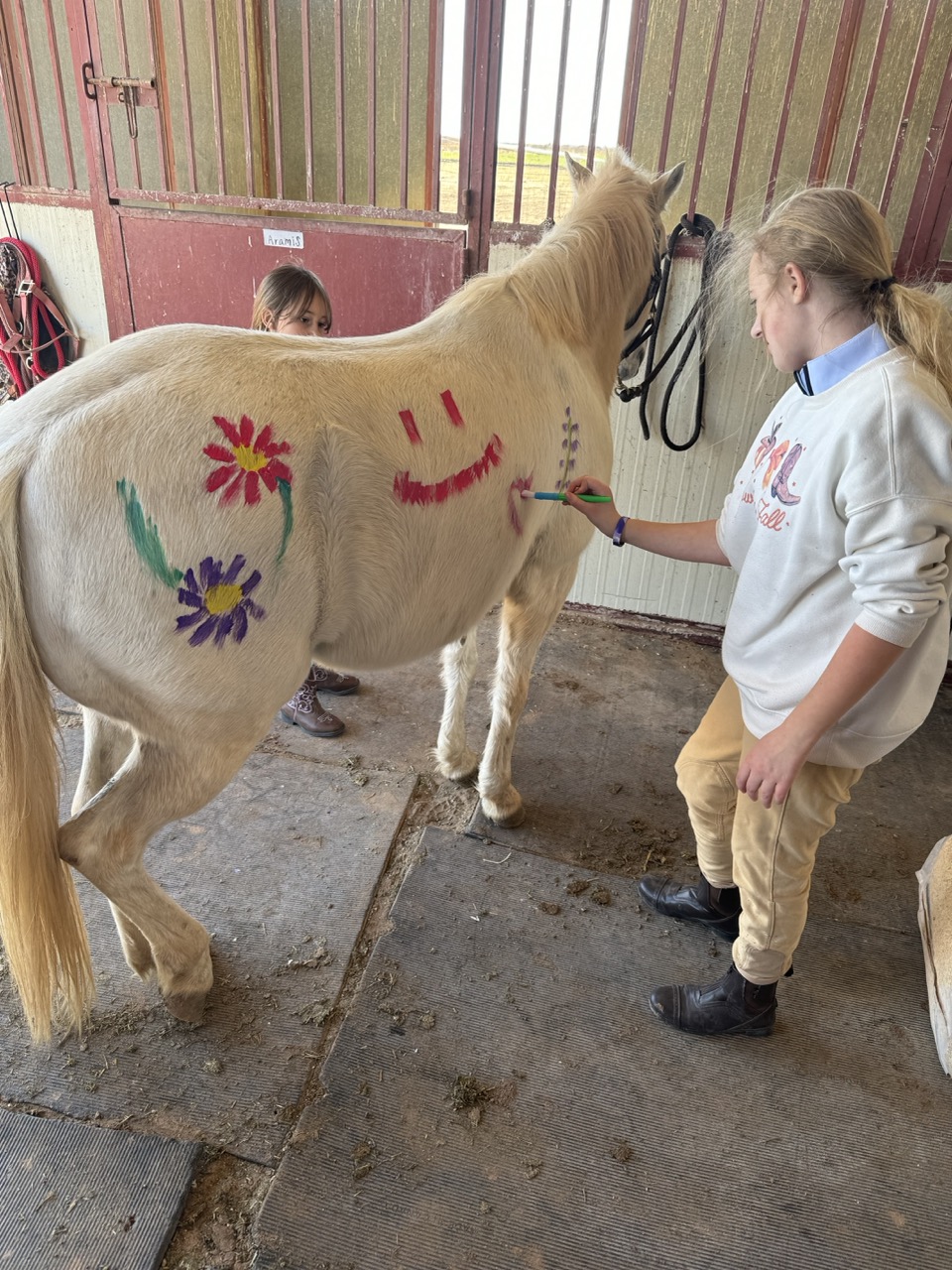 A young rider decorates Cloud, a pale pony, with smiley faces and flower designs in non-toxic paint inside the barn aisle.