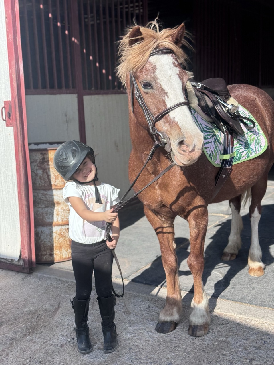 A small girl in a helmet stands smiling next to Joy, a chestnut Welsh pony cross with a wide white blaze and flaxen mane, in front of a barn doorway.