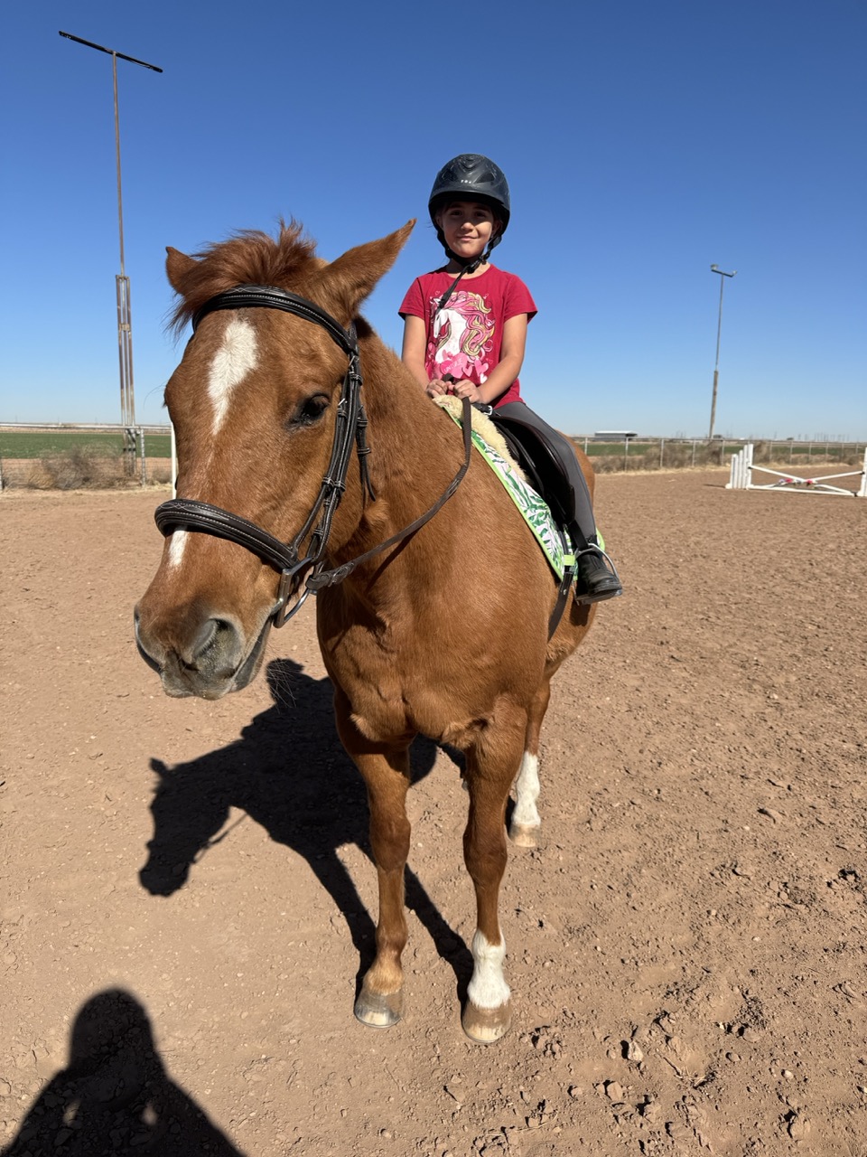 A young rider in a red shirt and helmet sits aboard Rosie, a chestnut Quarter Horse mare, in a sunny outdoor arena.