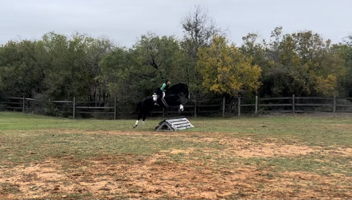 Rider jumping a horse over an obstacle in an outdoor training field