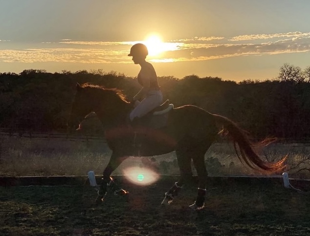 Rider on a horse silhouetted against the sunset mid-jump in an arena